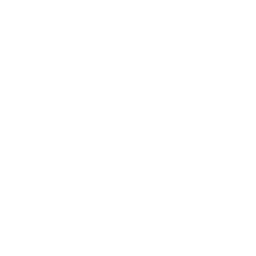 ByteDance